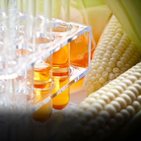 Industria de fertilizantes y pienso